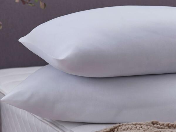 Winter Nights Pillow Pair