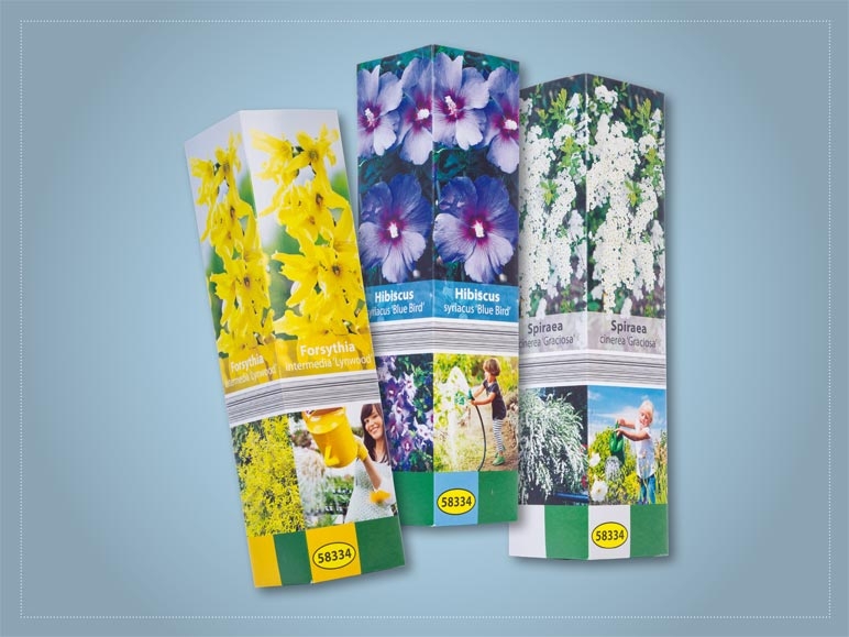 Plante ornementale dans un sachet pliant (dès 31.3.)
