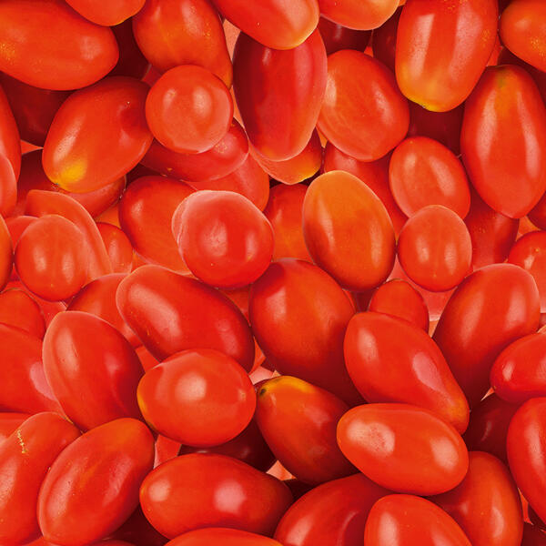 Snacktomaten