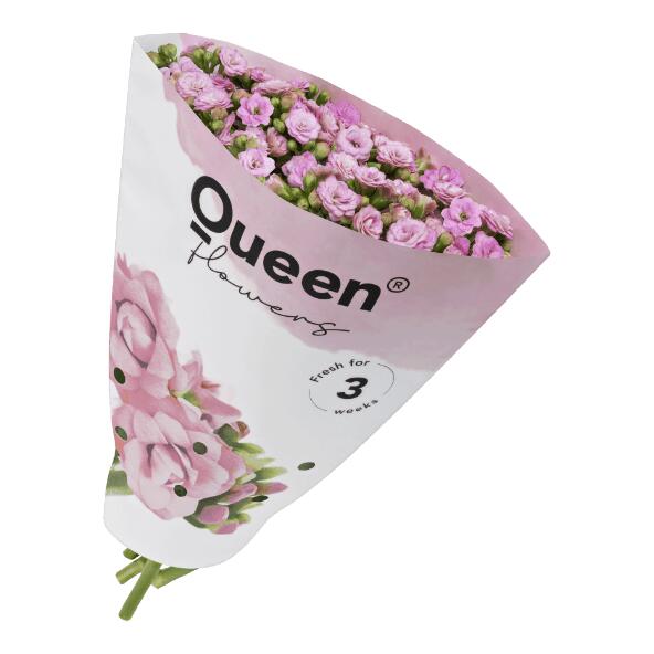 Kalanchoe-Strauß