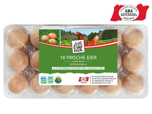 Eier aus Freilandhaltung 15 + 3 Eier gratis