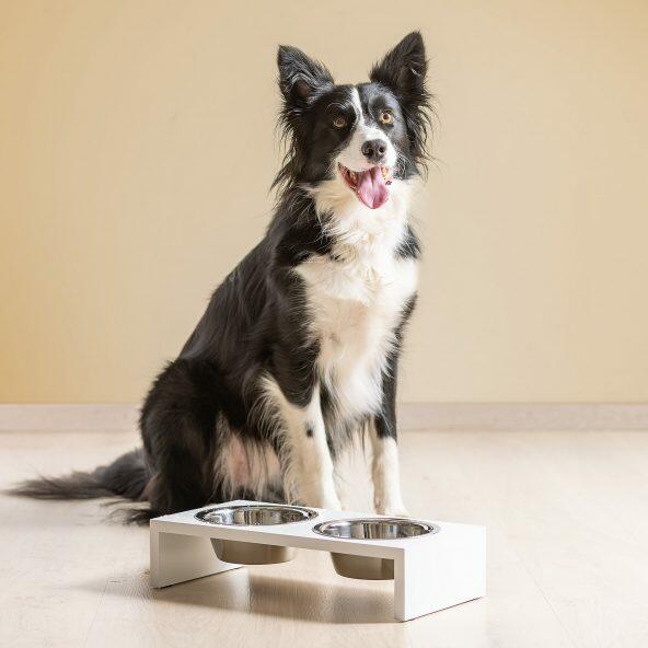 Porte-bols pour chiens