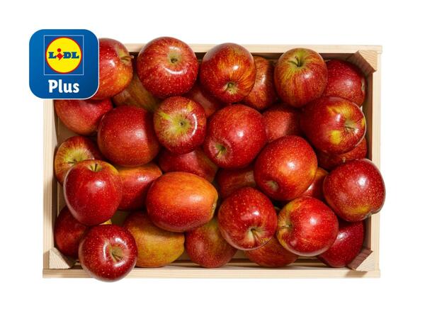 Pommes bio