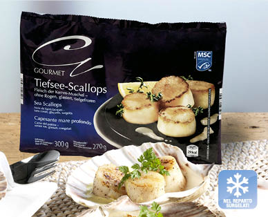 Capesante MSC GOURMET