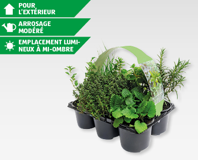Mélange d'herbes GARDENLINE(R)