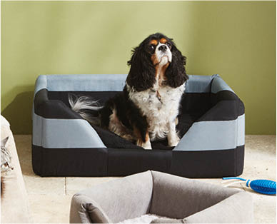 Dog Bed