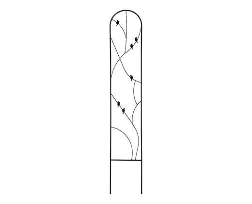 Belavi
Trellis