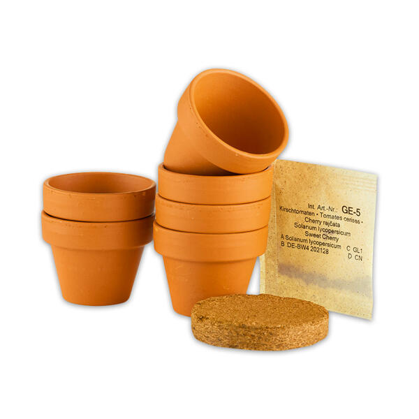 Mini-Gewächshaus