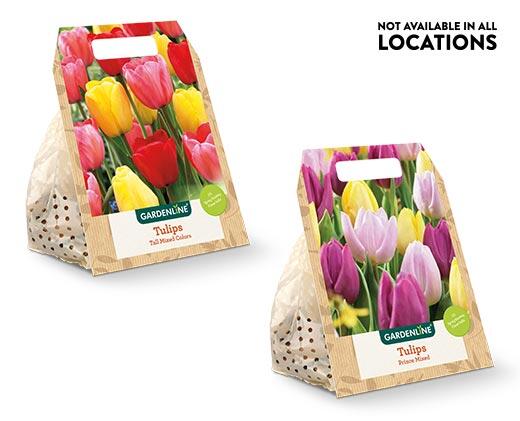 Gardenline Fall Bulbs Assorted Varieties