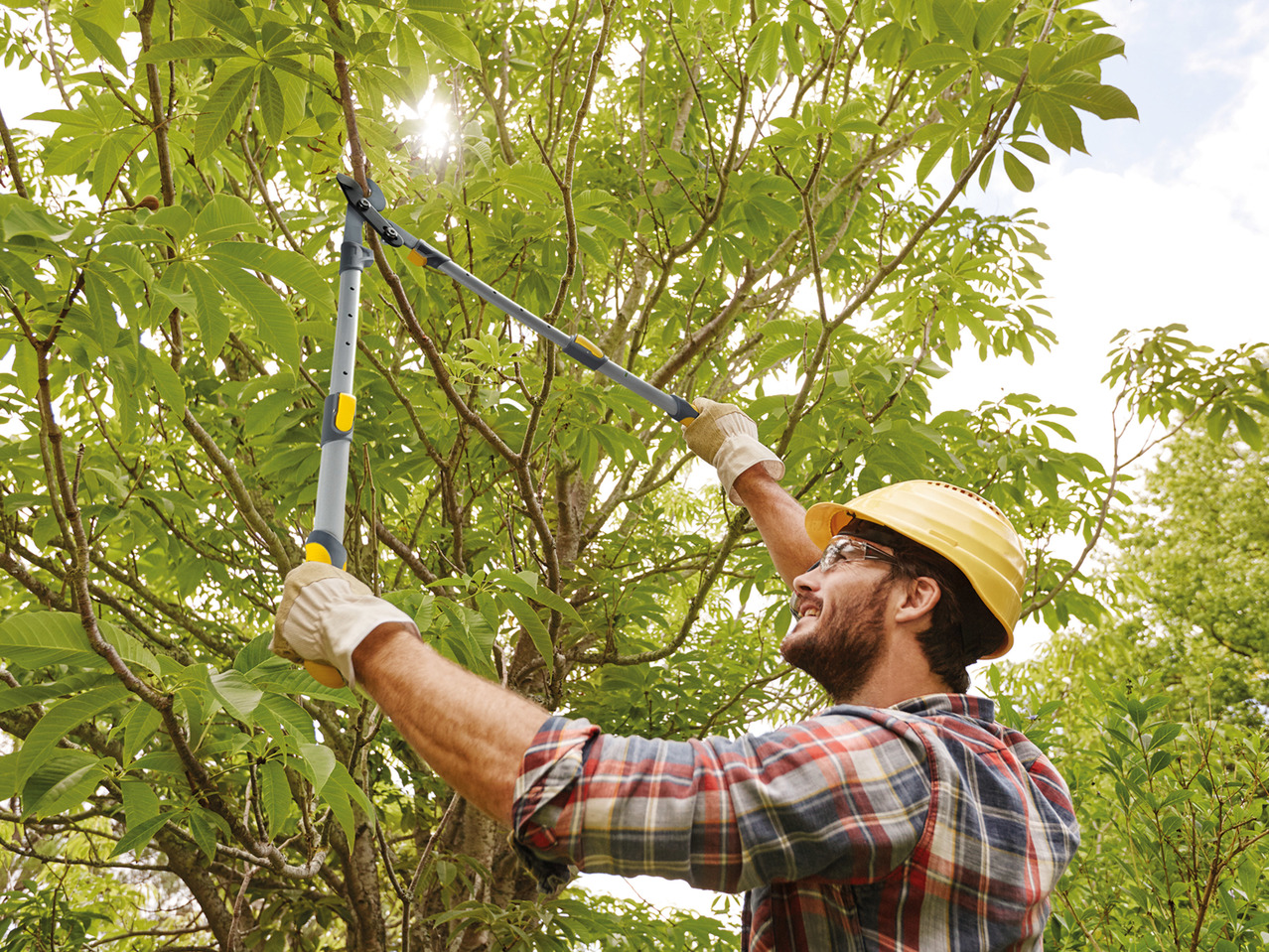 Florabest Extendable Loppers1