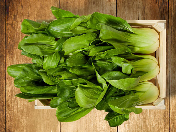 Bok Choi