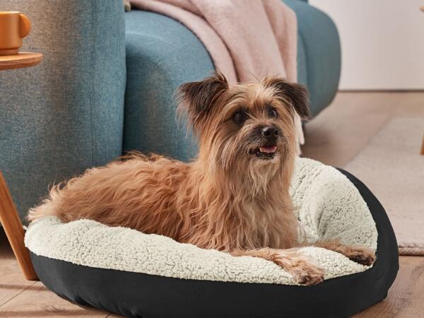 Dog Bed