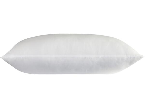 Support Pillow