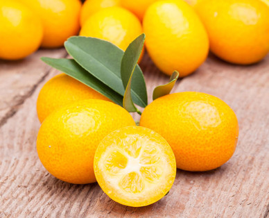 Citrus-Stämmchen „Piccolo"