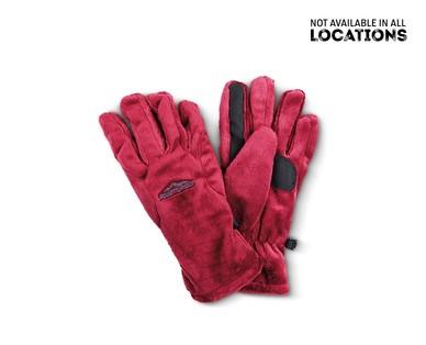 Adventuridge Men's or Ladies' Winter Gloves