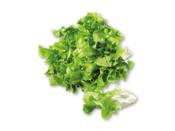 Dansk Crisp salat eller spinat