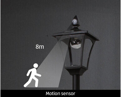 Solar Wall/Post Light or Post Light