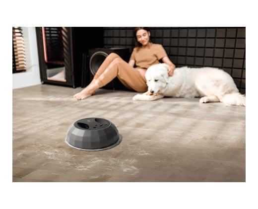 Huntington Home 
 Robotic Floor Duster