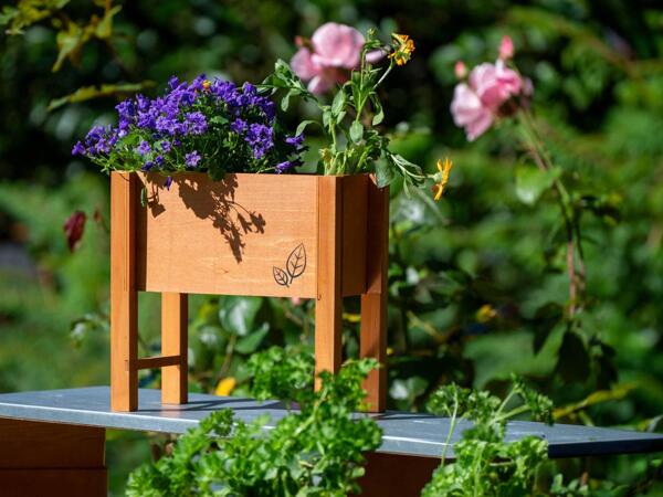 Raised planter box for herbs