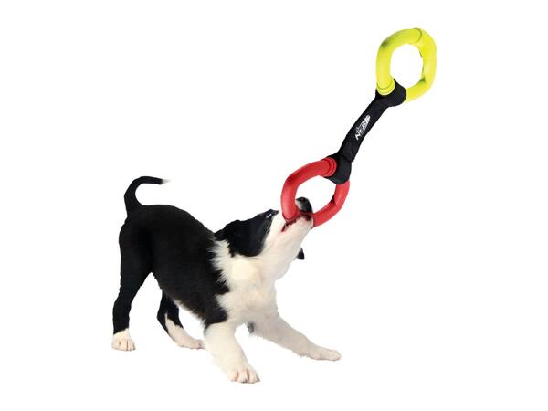 Nerf Dog Toy