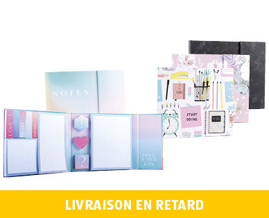 LOT DE BLOCS-NOTES AUTOCOLLANTS