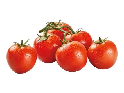 Vine Tomatoes