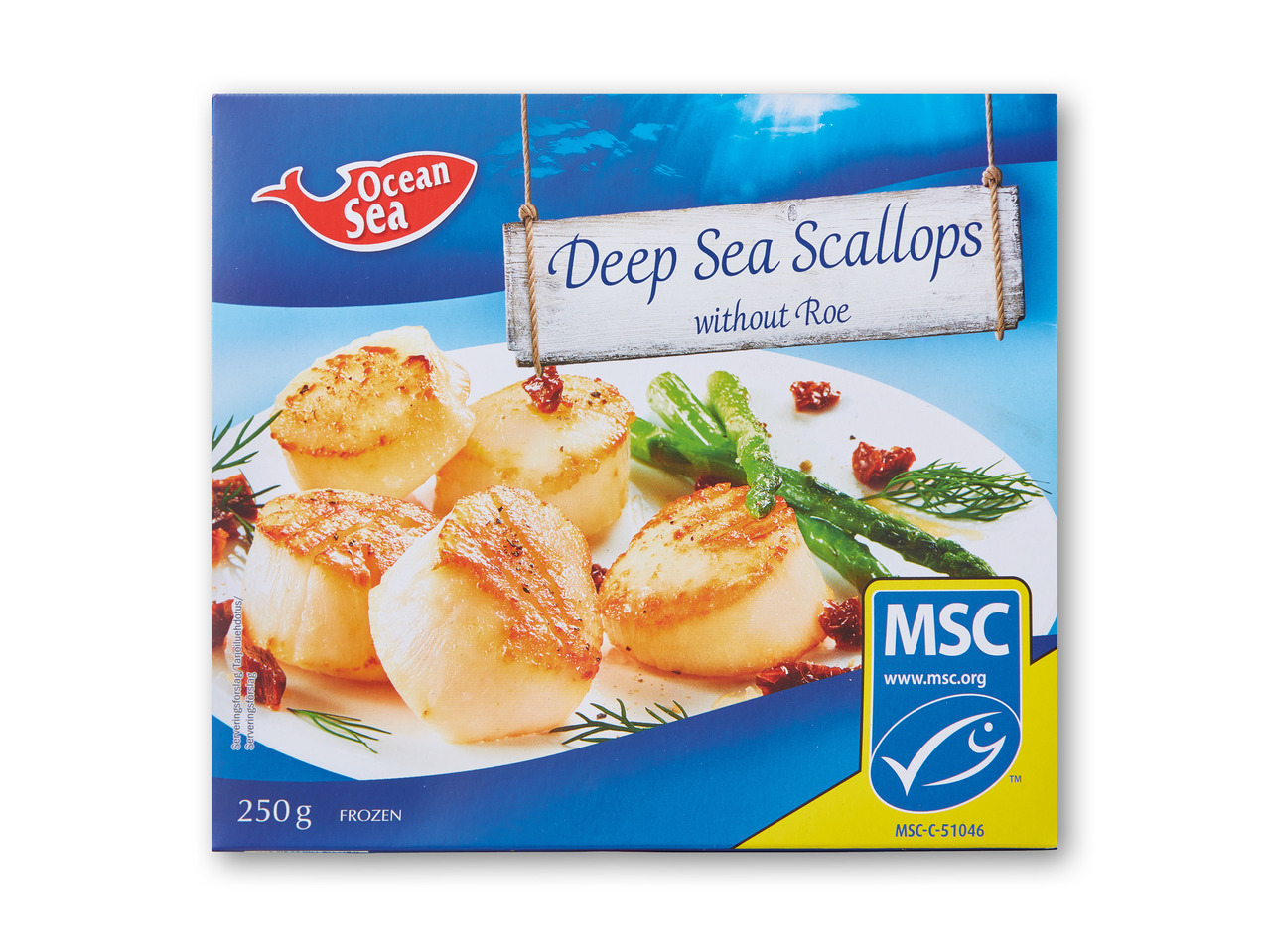 OCEAN SEA Kammuslinger