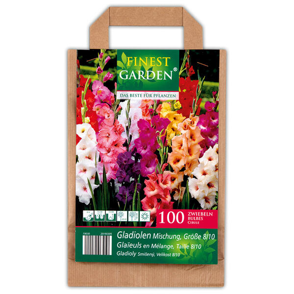 Blumenzwiebeln in Papiertasche