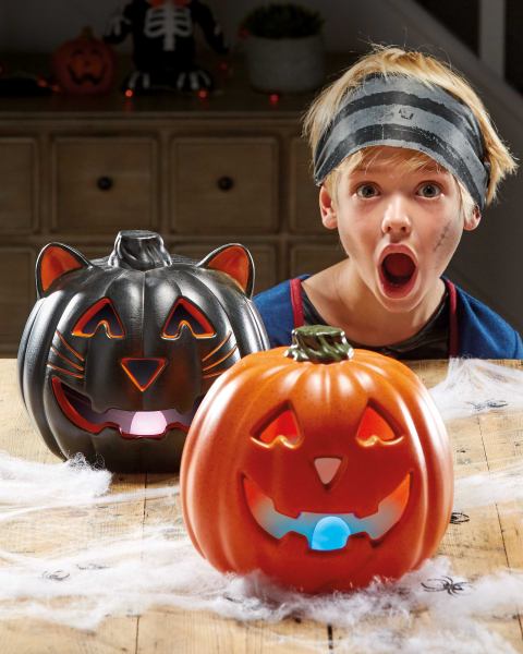 Halloween Black Cat Light Up Pumpkin