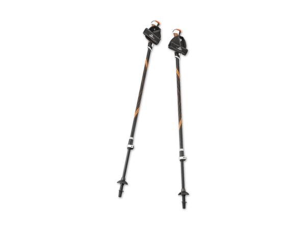 Nordic-Walking-Stöcke