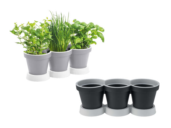 Vaso per erbe aromatiche da 3 (solo in Ticino e nella Svizzera francese)