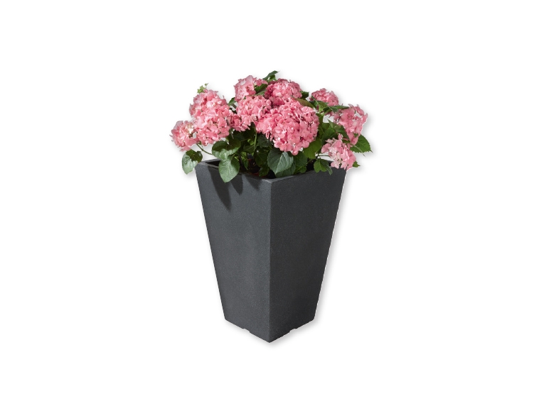 Bloempot