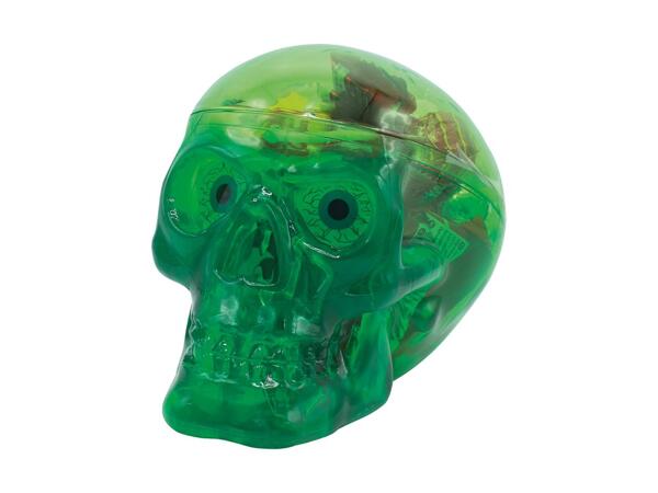Skull with Sweets