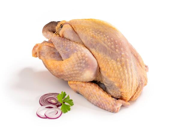 PERLIČKA