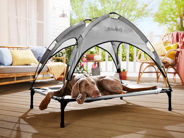 ZOOFARI(R) Hundeseng