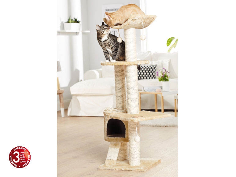 Arbre à chat