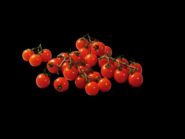 Cherry rajčata keříková