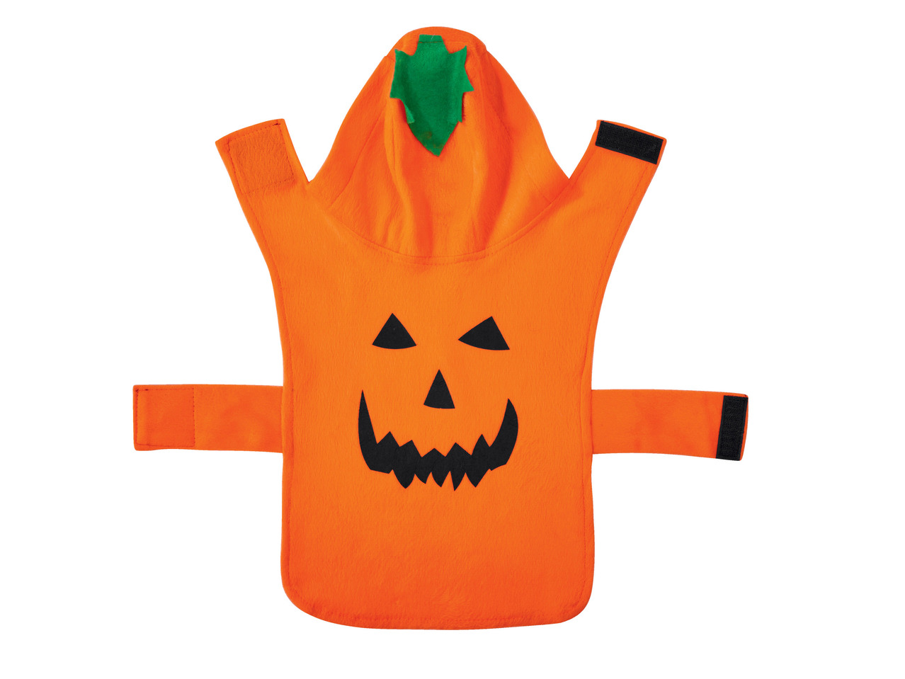 Halloween Dog Costume