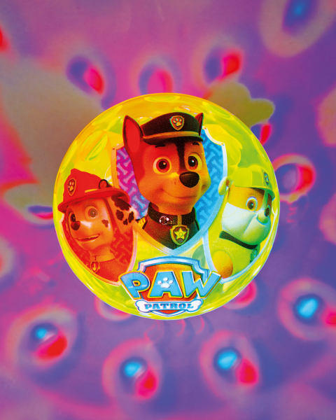 Flashing Ball Paw Patrol