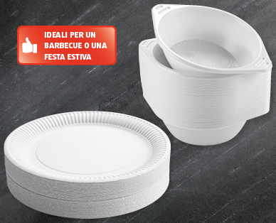 Piatti usa e getta BBQ