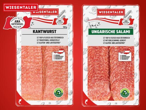 Ungarische Salami oder Kantwurst