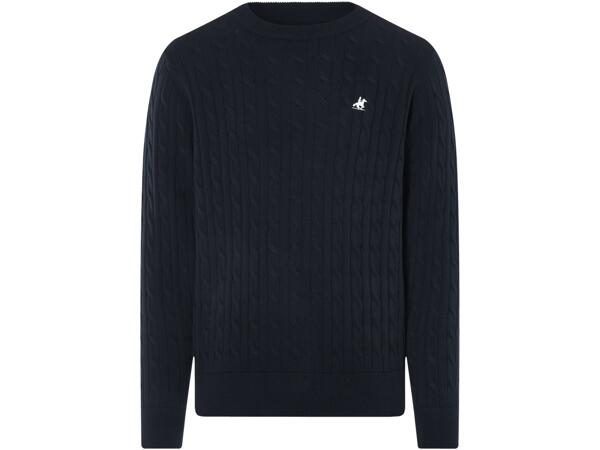 Men's Premium Jumper