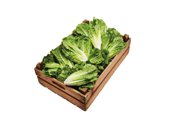 Romansallad