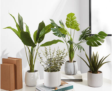 Decorative Faux Plants - Monstera, Palms or Peace Lilly