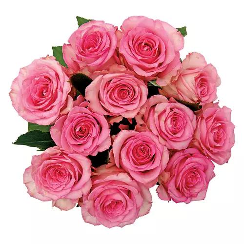 12 Roses Bouquet - Assorted Colors