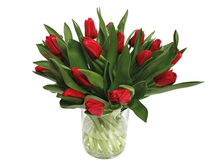 Large Red Tulip Bouquet - Available from 11th February