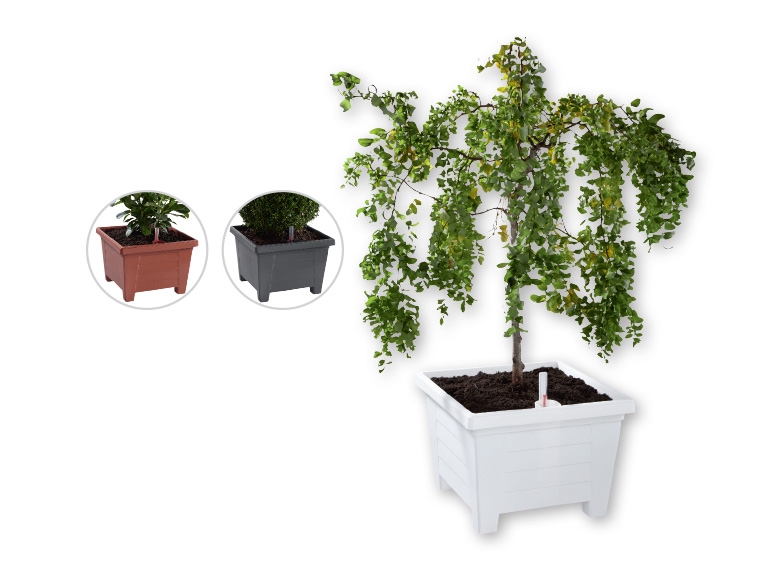 FLORABEST Self-Watering Plant Pot 40 x 28 x 40cm