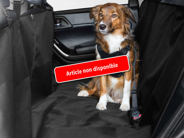 Couverture de protection pour voiture