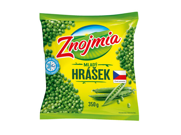 MLADÝ HRÁŠEK