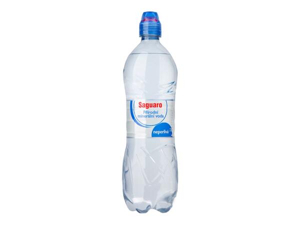 PŘÍRODNÍ MINERÁLNÍ VODA